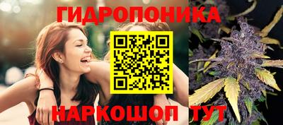 бошки Нижний Тагил