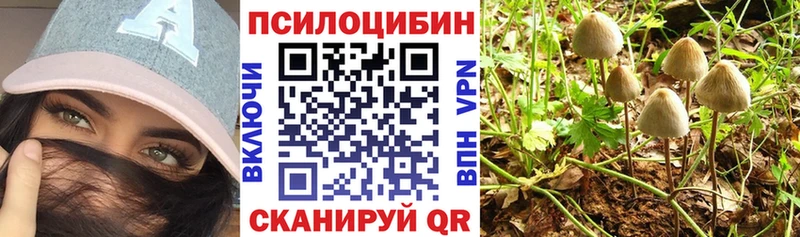 Псилоцибиновые грибы прущие грибы  Купить закладки  Карабулак 