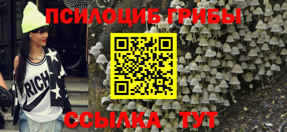Галлюциногенные грибы мицелий Карабулак