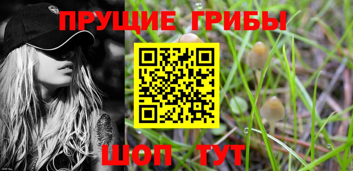 Псилоцибиновые грибы Cubensis  Галлюциногенные грибы Psilocybe  Карабулак  Вход с VPN 